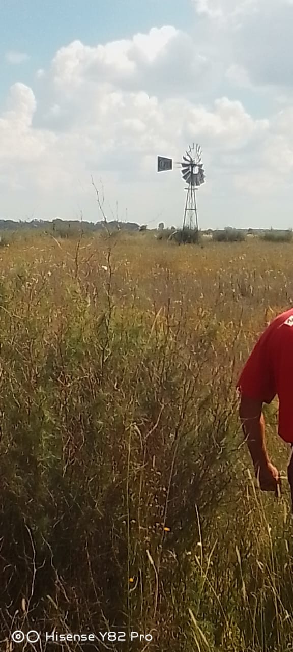 Commercial Property for Sale in Koppies Free State